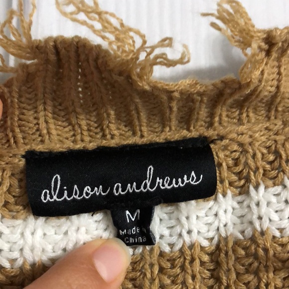 Alison Andrews Brown and White Striped Raw Hem Fall V-Neck Woven Knit Sweater - Picture 3 of 9